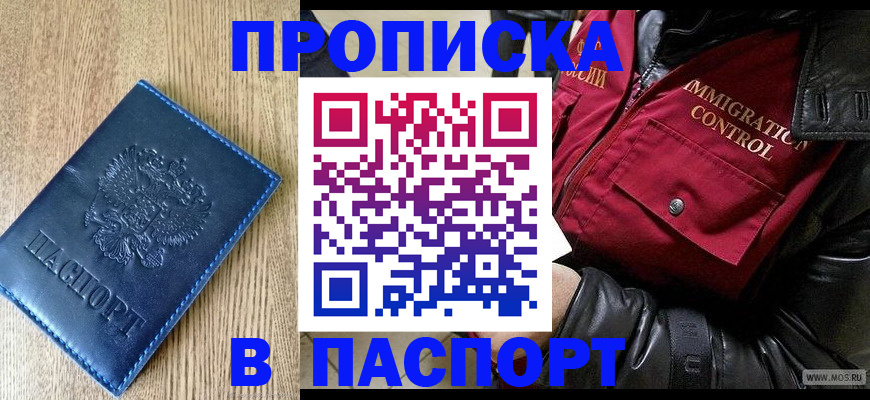временная регистрация собственник в Щёлково